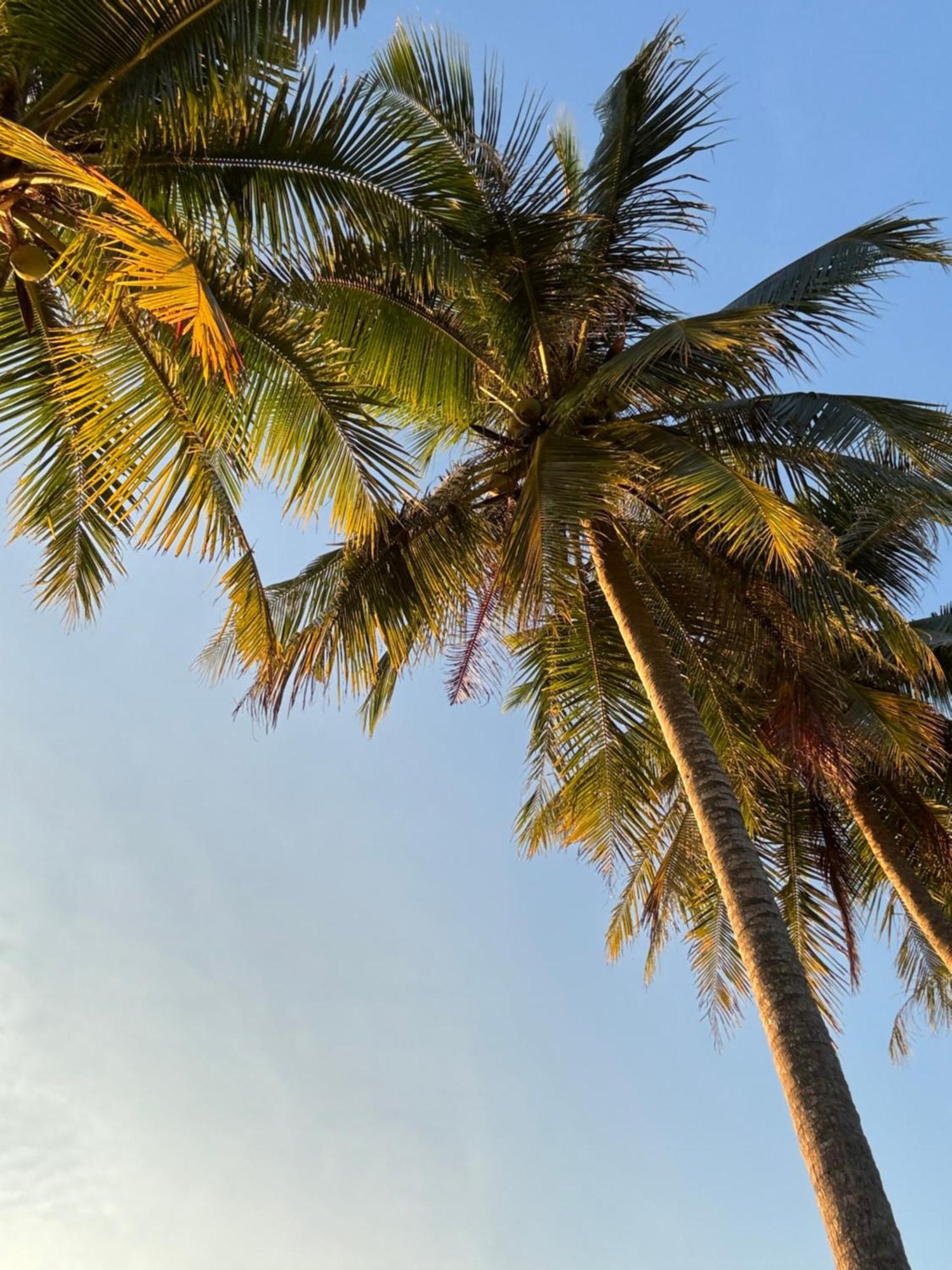 Coco Canopy Boutique Resort Koh Jum Bagian luar foto