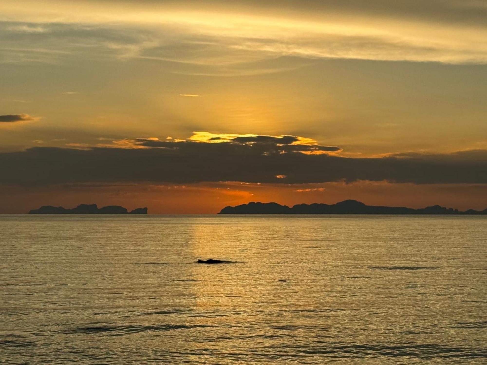 Coco Canopy Boutique Resort Koh Jum Bagian luar foto